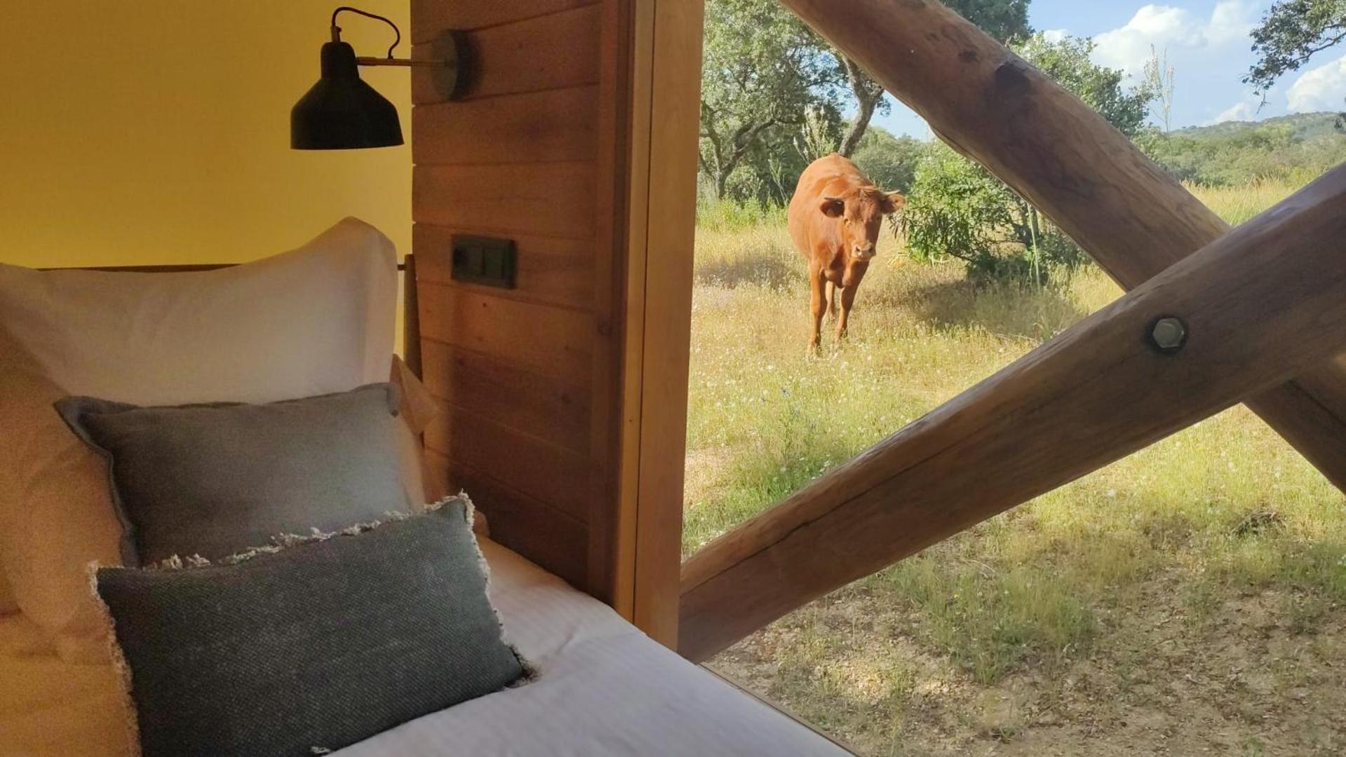 La Dehesa Experiences Hotel Adamuz Bilik gambar